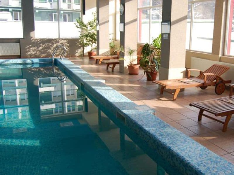 Marginea piscinei interioare Bradul-Călimani, cu șezlonguri de lemn și plante lângă ferestre