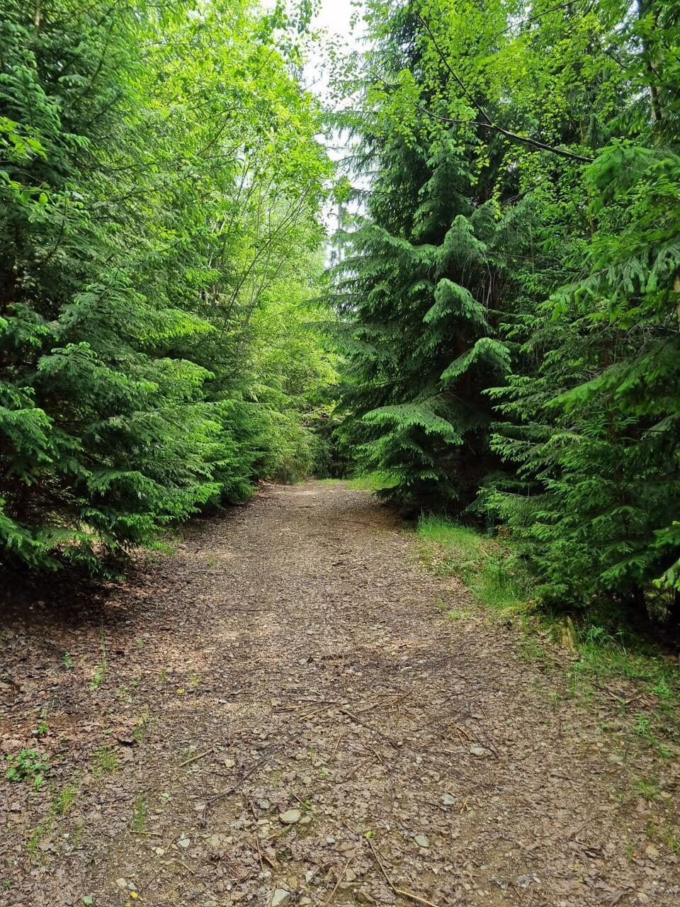 Tură-n Natură