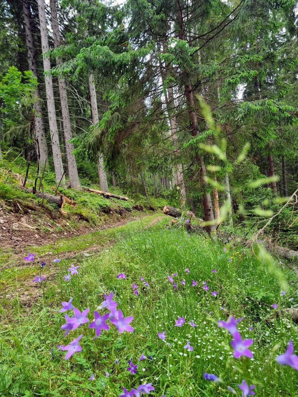 Tură-n Natură